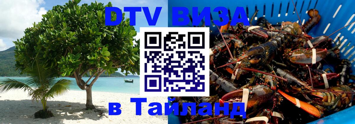 Сколько стоит DTV виза — актуальные цены, оформление даже без документов - Ставрополь  20.11.2025 